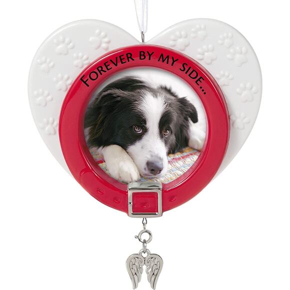 Hallmark Ornament 2021 - Forever By My Side Pet Memorial Photo Frame - Picture 1 of 5